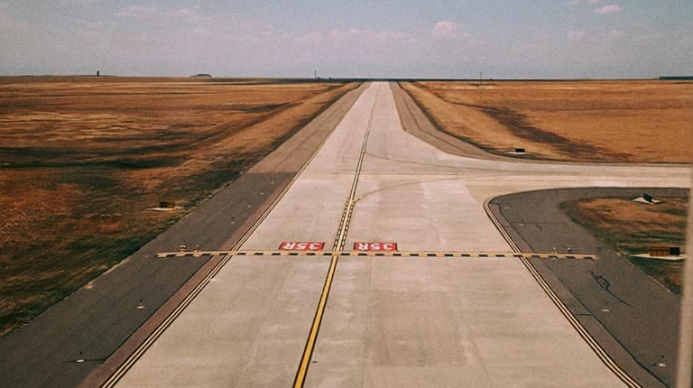 Paris airport shuts runways in search for runaway dog