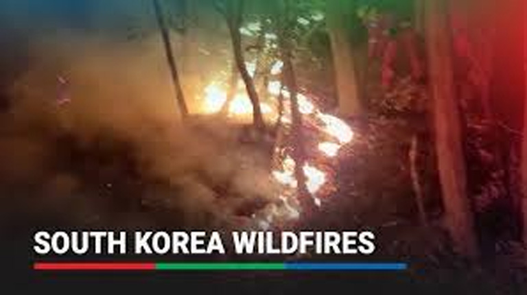 Firefighters in South Korea work to curb forest fires