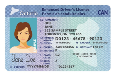 img-drivers-license