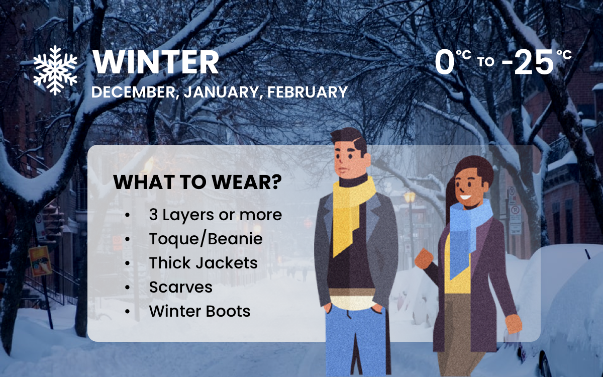 https://img.mytfc.com/wp-content/uploads/2025/09/11161358/winter-image.png