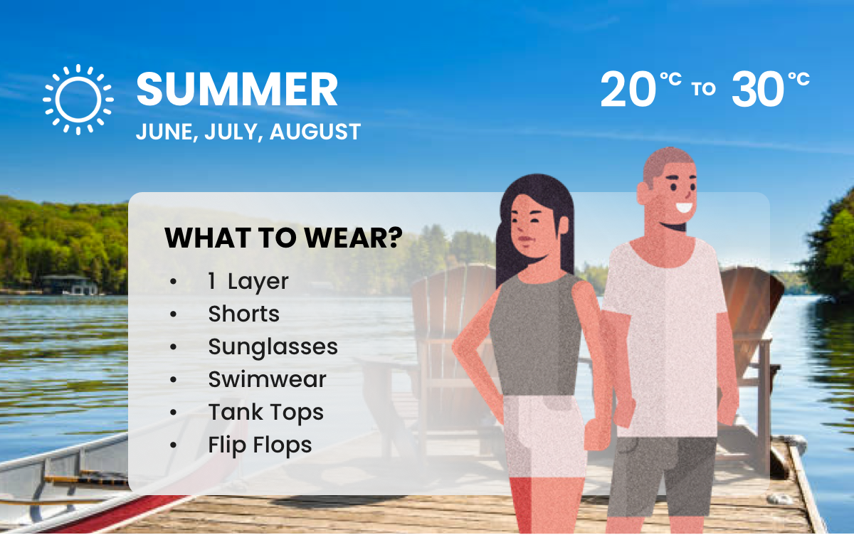 https://img.mytfc.com/wp-content/uploads/2025/09/11161649/summer-image.png